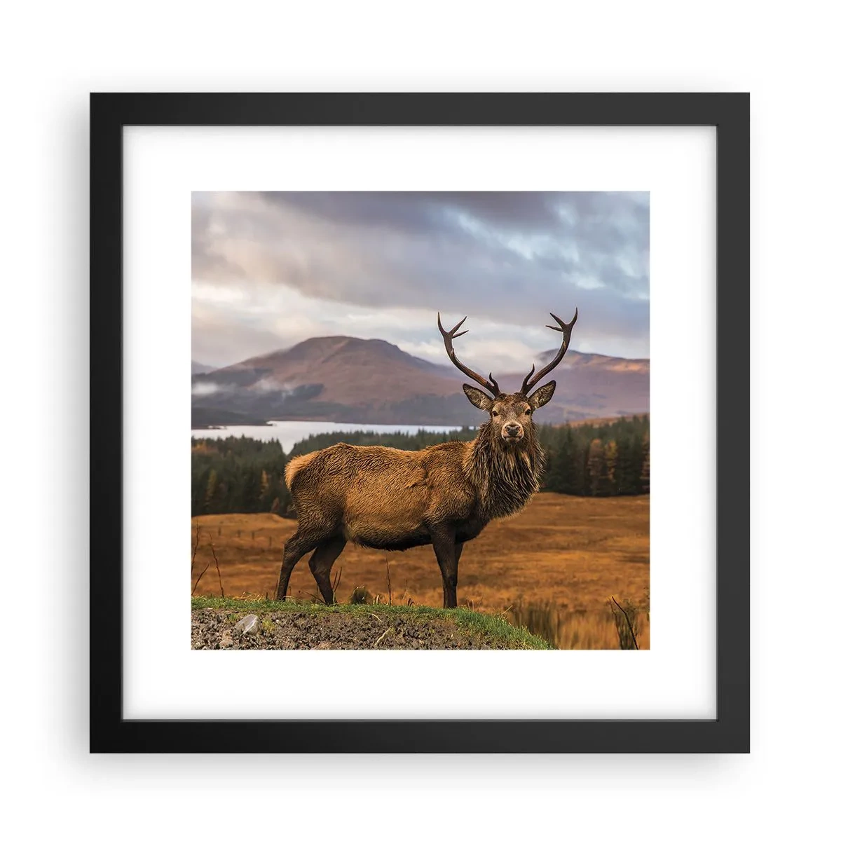 Poster in einem schwarzem Rahmen - Die Majestät der Natur - 30x30 cm