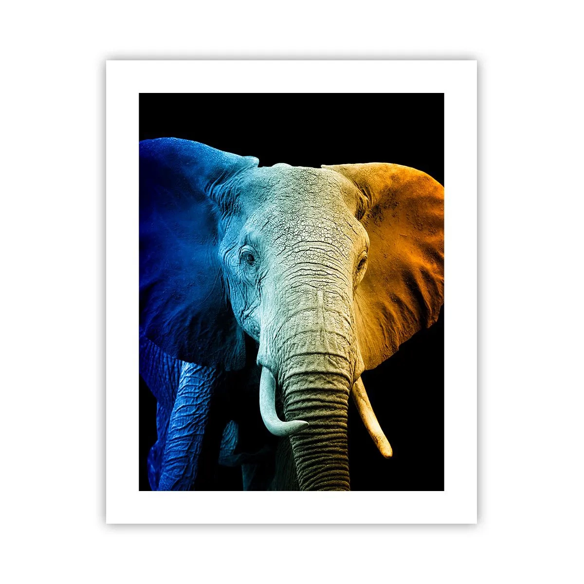 Poster - Exzentrisch, kein Verrückter - 40x50 cm