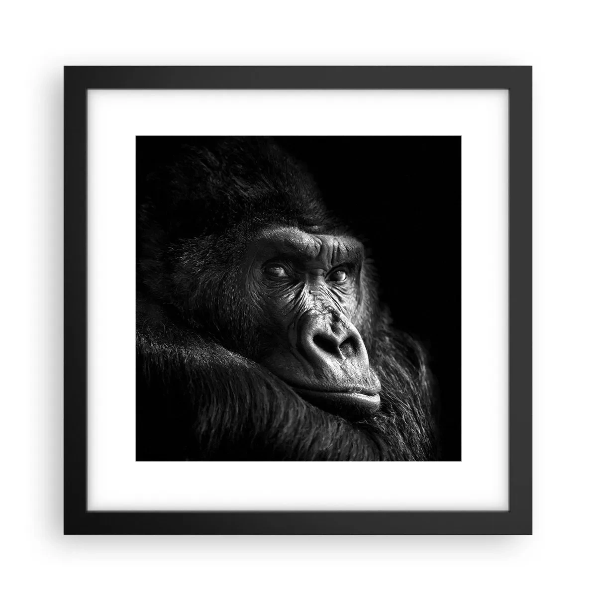 Poster in einem schwarzem Rahmen - Und was guckst du so? - 30x30 cm