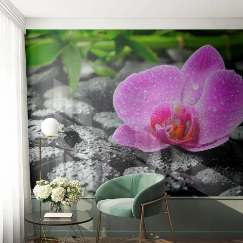 Fototapete Premium Sand - Rosa Orchidee auf nassen schwarzen Steinen - 100x70cm - Wie ein offenes Herz - Moderne Wanddekoration für Wohnzimmer und Schlafzimmer ARTTOR