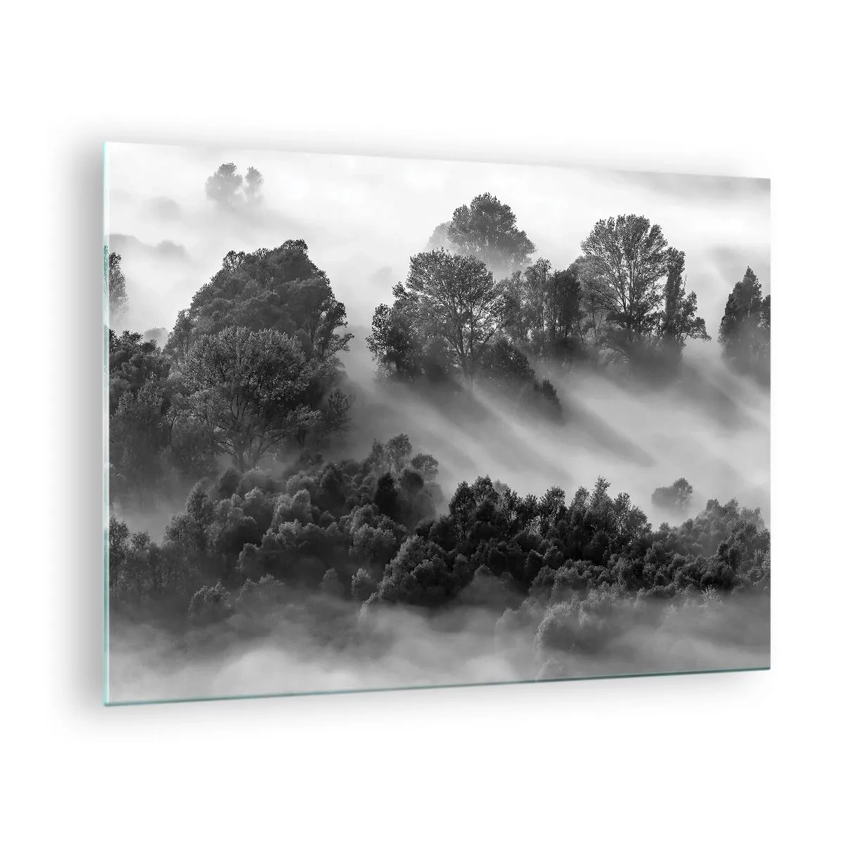 Glasbild - Bild auf glas - Nebliger Wald im Sonnenlicht in Schwarz und Weiß - 70x50cm - Aufstehend aus dem Schlaf - Moderne Wanddekoration für Wohnzimmer und Schlafzimmer ARTTOR