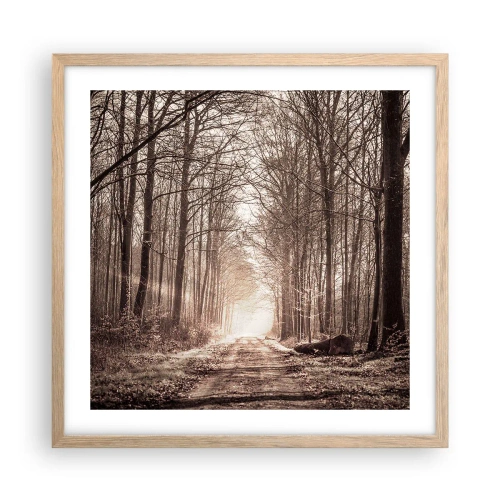 Poster in einem Rahmen aus heller Eiche - Waldkathedrale - 50x50 cm