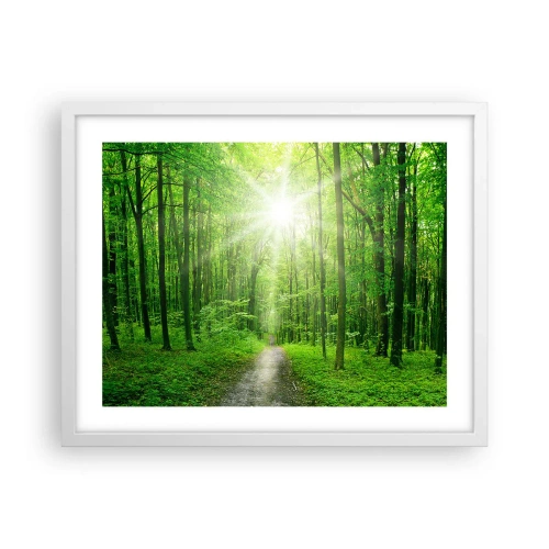 Poster in einem weißen Rahmen - Die grüne Kathedrale - 50x40 cm