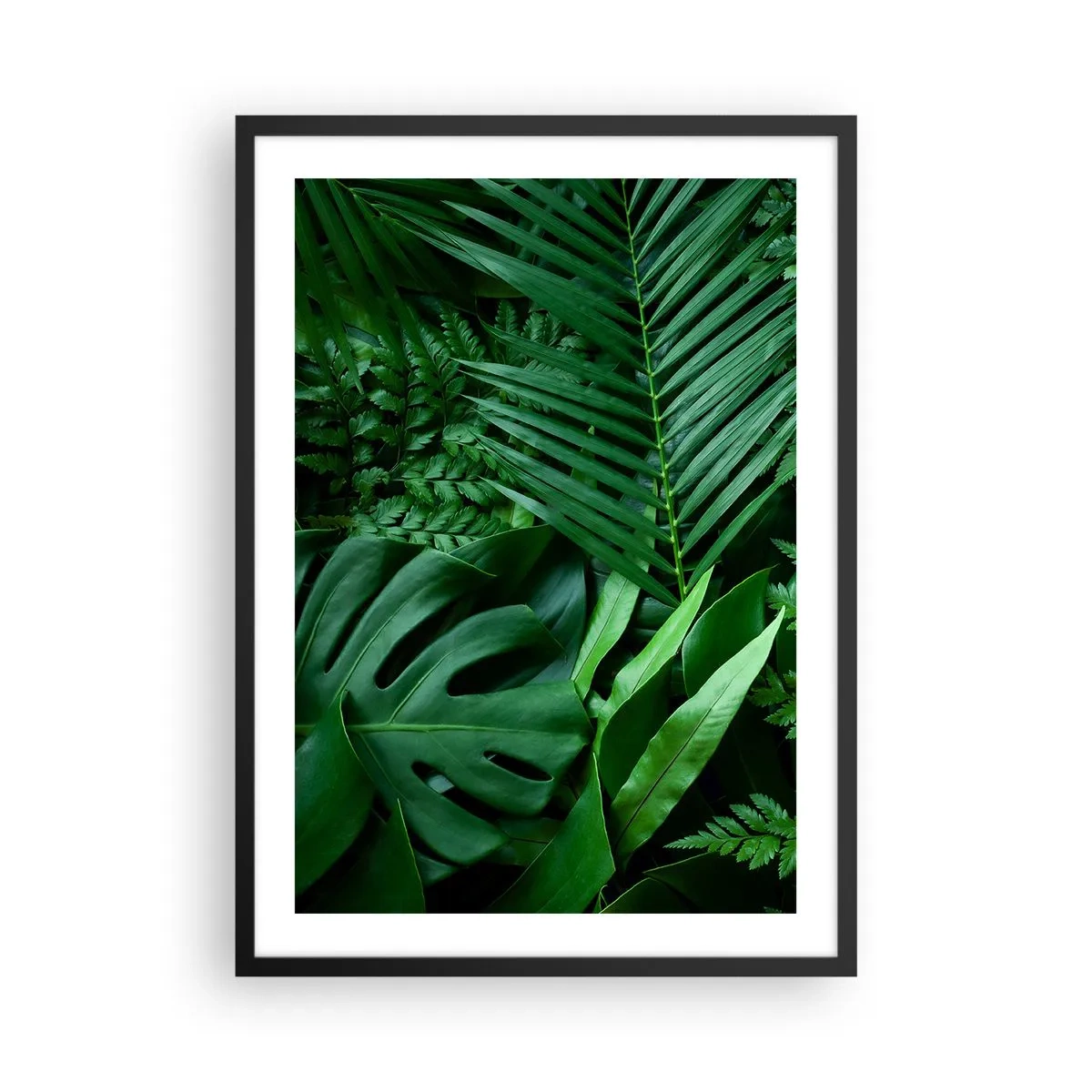 Poster in einem schwarzem Rahmen - Grüner Farn und Palmblätter bilden ein tropisches Muster - 50x70cm - Eingebettet ins Grüne - Moderne Wanddekoration für Wohnzimmer und Schlafzimmer ARTTOR