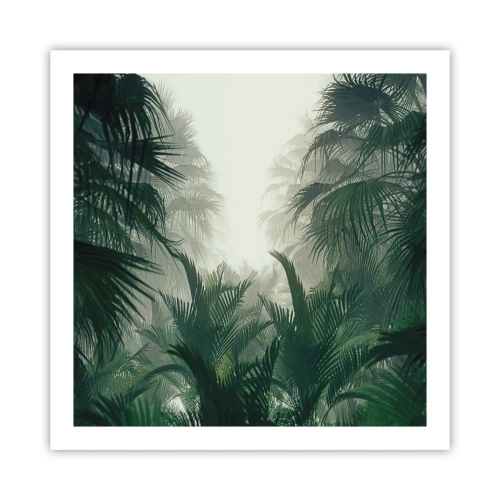 Poster - Tropisches Geheimnis - 60x60 cm