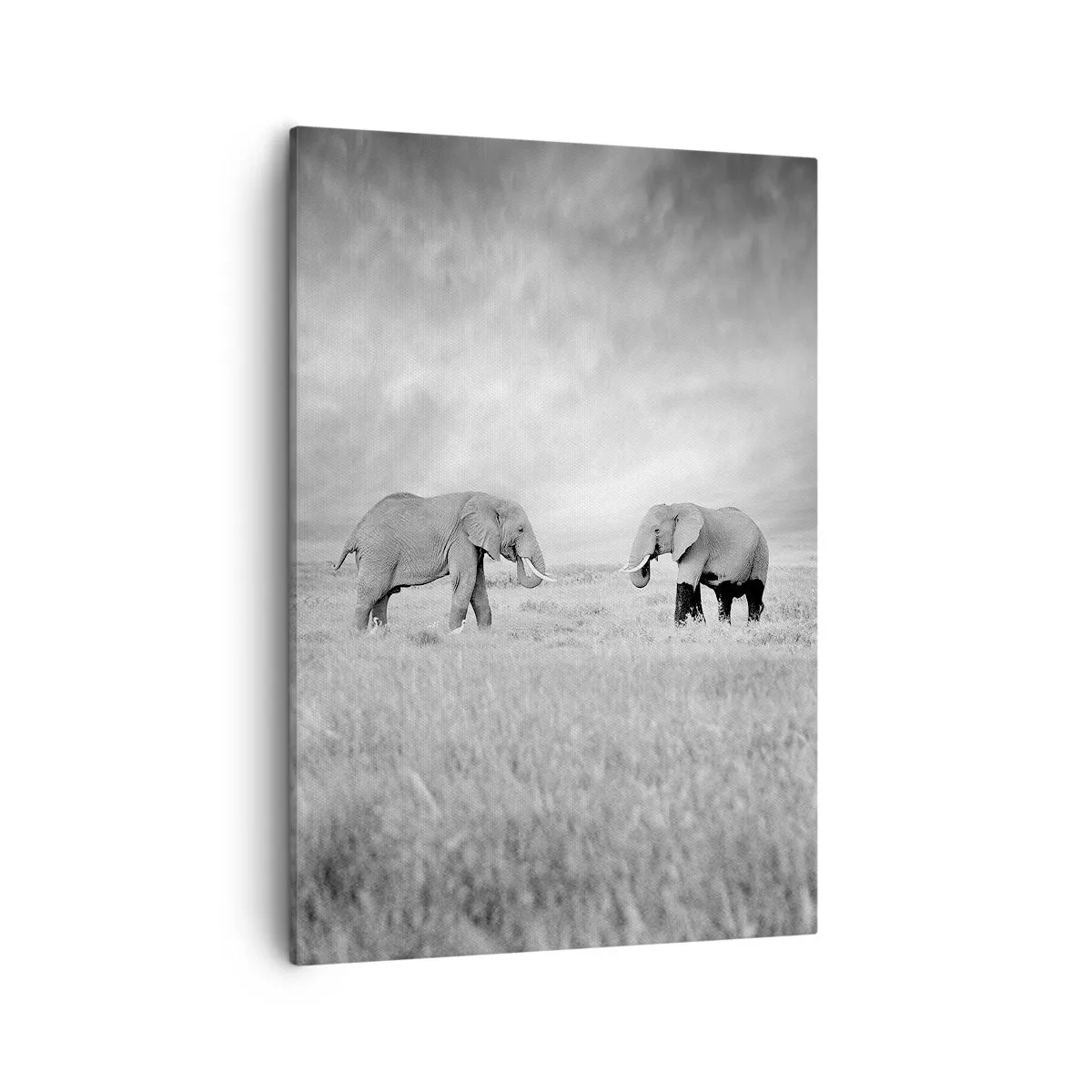 Bild auf Leinwand - Leinwandbild - Zwei Elefanten vor der Kulisse der afrikanischen Savanne - 50x70cm - Grau ist schön - Moderne Wanddekoration für Wohnzimmer und Schlafzimmer ARTTOR