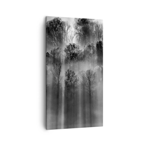 Bild auf Leinwand - Leinwandbild - In Lichtstrahlen - 45x80 cm