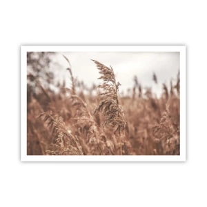 Poster - Goldene Gräser vor dem Hintergrund der Herbstlandschaft - 100x70cm - Auf den Feldern ist es schon Herbst - Moderne Wanddekoration für Wohnzimmer und Schlafzimmer ARTTOR