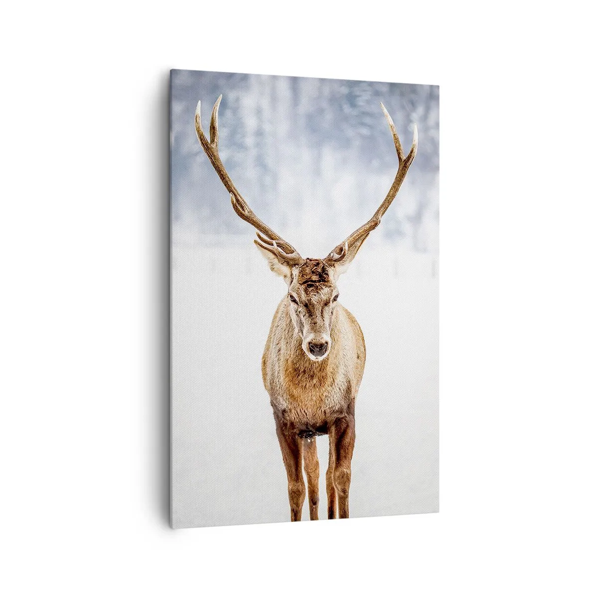 Bild auf Leinwand - Leinwandbild - Direkt aus dem Schneenebel - 80x120 cm