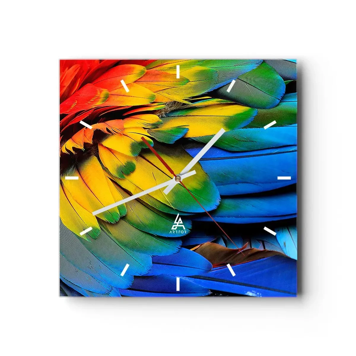 Wanduhr - Glasuhr - Eine Nahaufnahme der bunten Federn eines Papageis - 30x30cm - Paradiesvogel - Moderne Wanddekoration für Wohnzimmer und Schlafzimmer ARTTOR