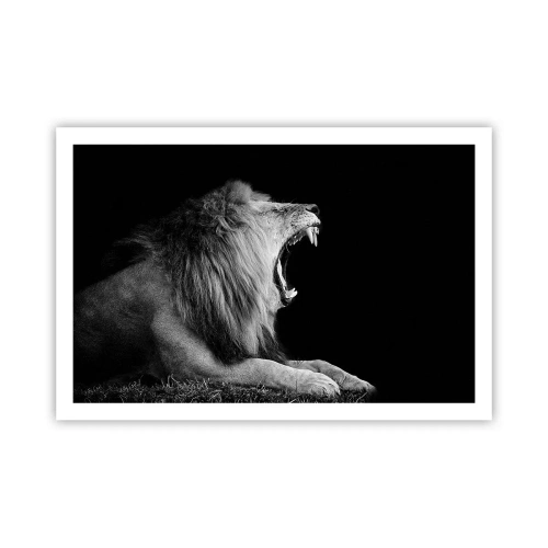 Poster - Ohne Zweifel - 91x61 cm