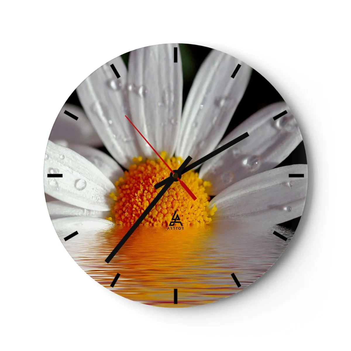 Wanduhr - Glasuhr - Makro eines Gänseblümchens mit Wassertropfen auf den Blütenblättern - 30x30cm - Die aufgehende Sonne der Gänseblümchen - Moderne Wanddekoration für Wohnzimmer, Küche und Schlafzimmer ARTTOR