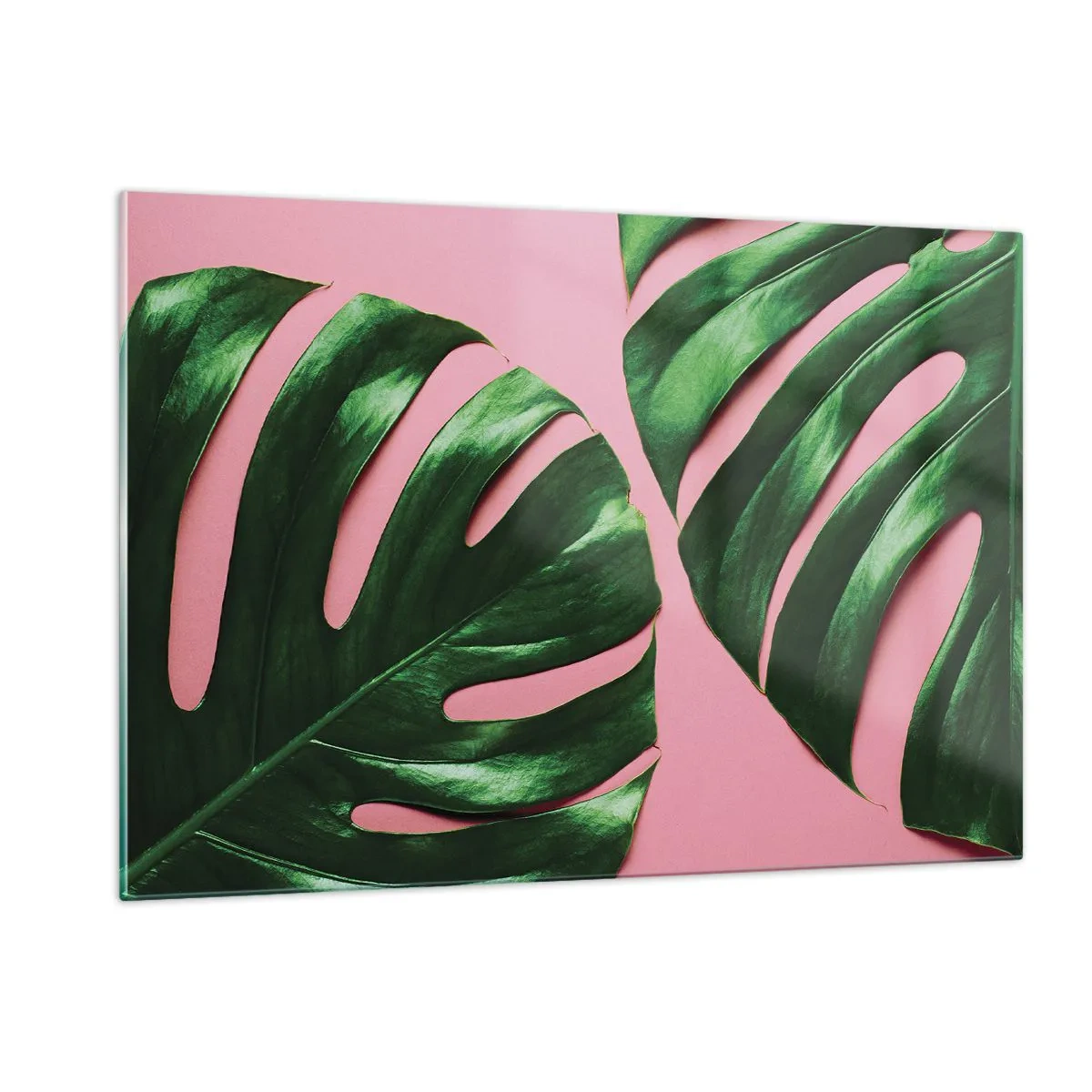Glasbild - Bild auf glas - Grüne Monstera-Blätter auf rosa Hintergrund - 120x80cm - Rendezvous im Grünen - Moderne Wanddekoration für Wohnzimmer und Schlafzimmer ARTTOR