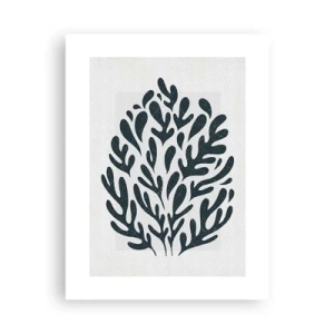 Poster - Formen der Natur - 30x40 cm