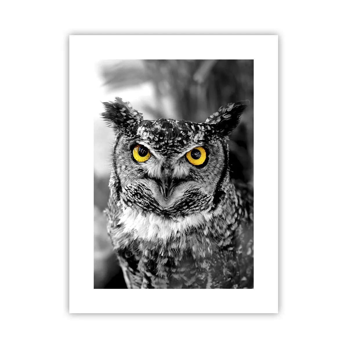 Poster - Nichts wird sich verstecken - 30x40 cm