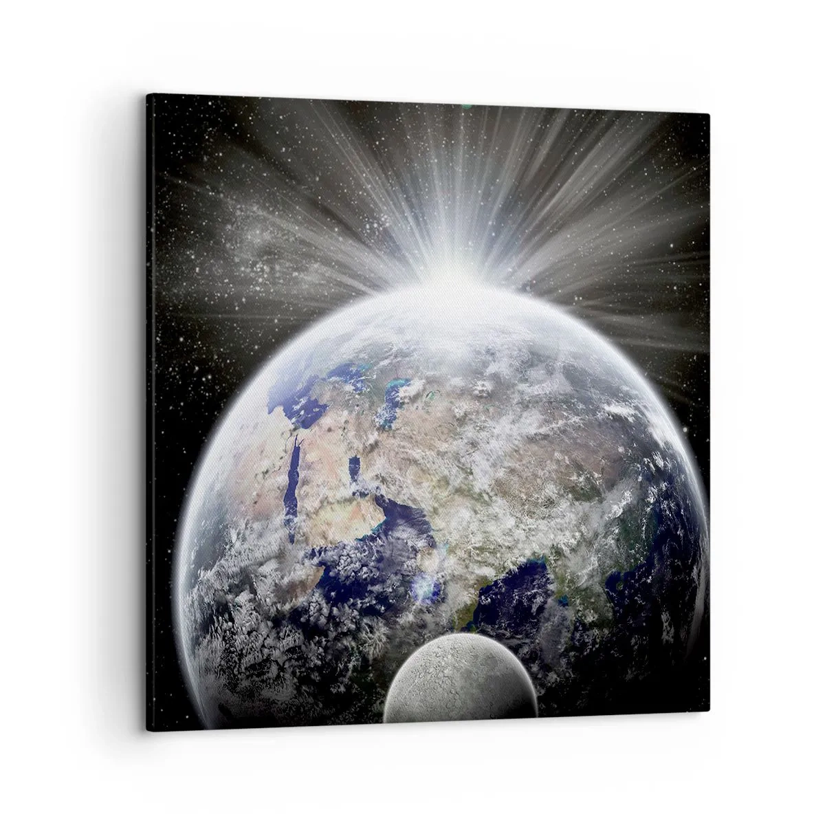 Bild auf Leinwand - Leinwandbild - In voller Pracht - 50x50 cm