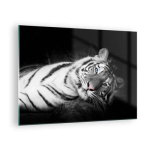 Glasbild - Bild auf glas - Ein weißer Tiger mit blauen Augen in einer schwarz-weißen Umgebung - 70x50cm - Wildnis und Frieden - Moderne Wanddekoration für Wohnzimmer und Schlafzimmer ARTTOR