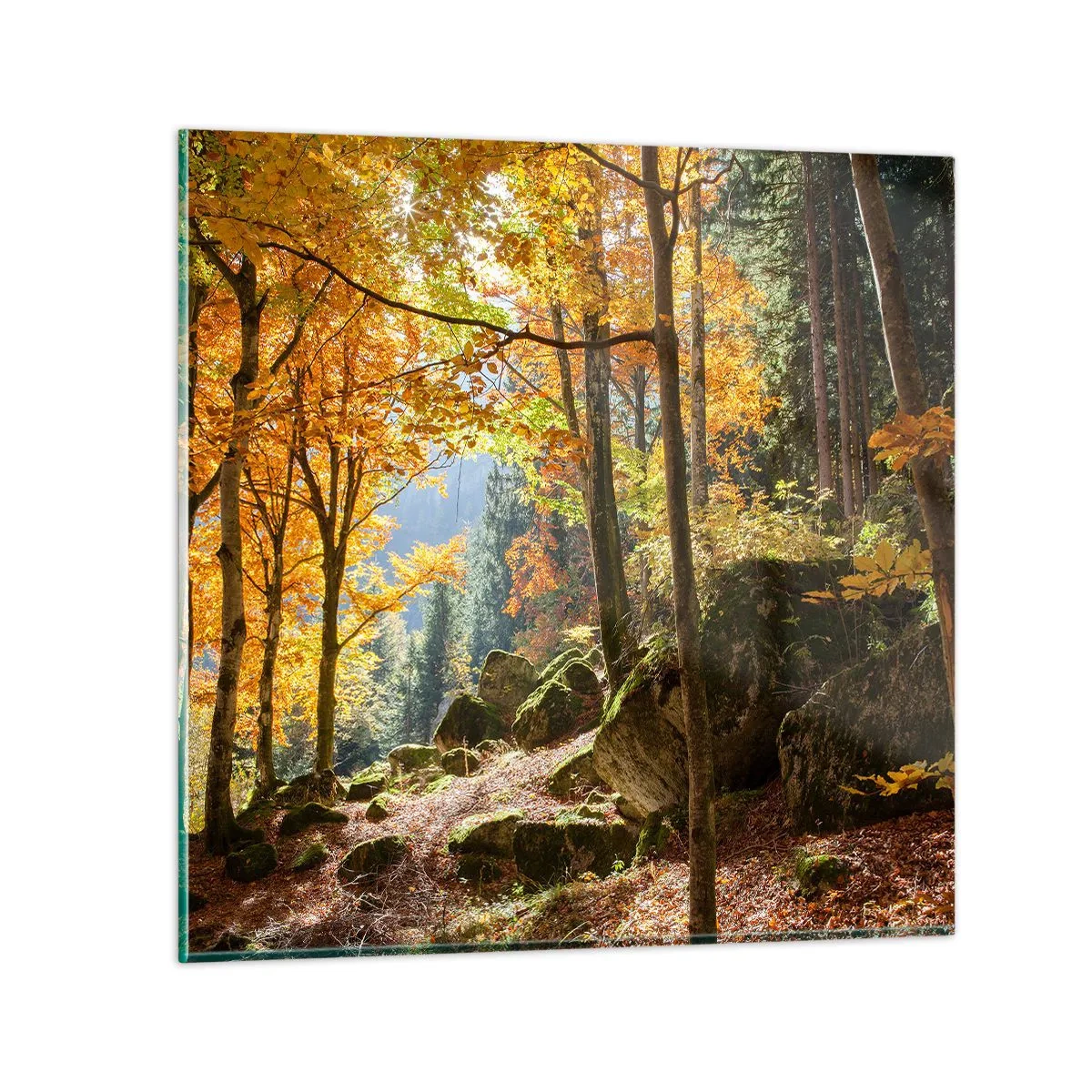 Glasbild - Bild auf glas - Zeit zum Entspannen - 70x70 cm