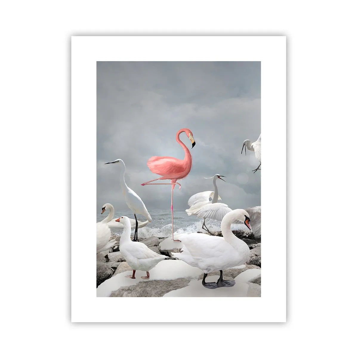 Poster - Wie kam ich hier hin? - 30x40 cm