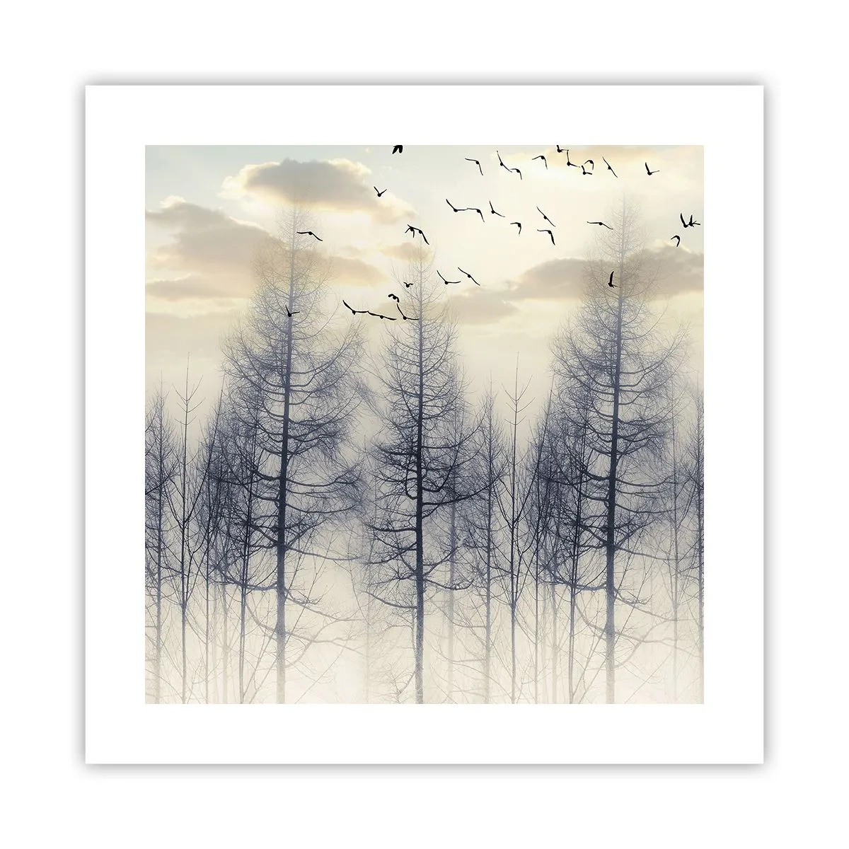 Poster - Waldgeister - 40x40 cm