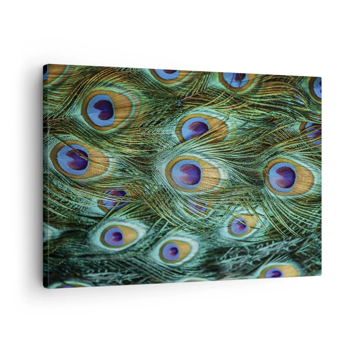Bild auf Leinwand - Leinwandbild - Details von Pfauenfedern in satten Farben - 70x50cm - Ein Blick mit Pfauenaugen - Moderne Wanddekoration für Wohnzimmer und Schlafzimmer ARTTOR