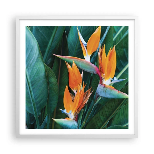 Poster in einem weißen Rahmen - Ist es eine Blume oder ist es ein Vogel? - 60x60 cm