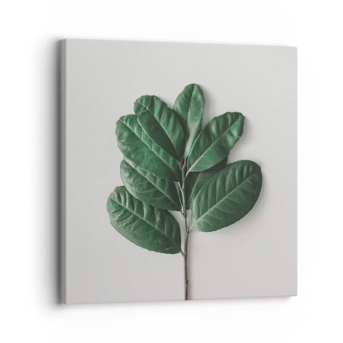 Bild auf Leinwand - Leinwandbild - Eine Zeichnung purer Natur - 30x30 cm
