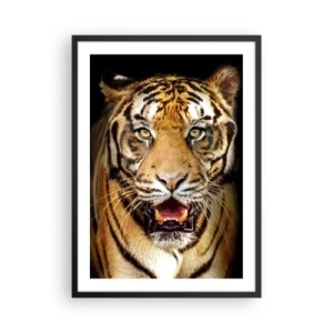 Poster in einem schwarzem Rahmen - Porträt eines Tigers auf schwarzem Hintergrund - 50x70cm - Wild im Herzen - Moderne Wanddekoration für Wohnzimmer und Schlafzimmer ARTTOR