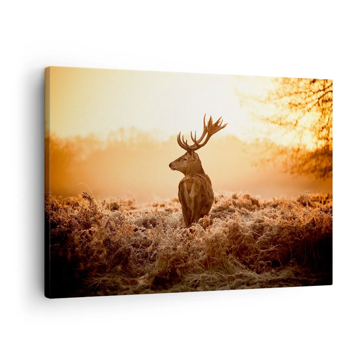 Bild auf Leinwand - Leinwandbild - Hirsch in den Strahlen der aufgehenden Sonne - 70x50cm - Herr im eigenen Land - Moderne Wanddekoration für Wohnzimmer und Schlafzimmer ARTTOR