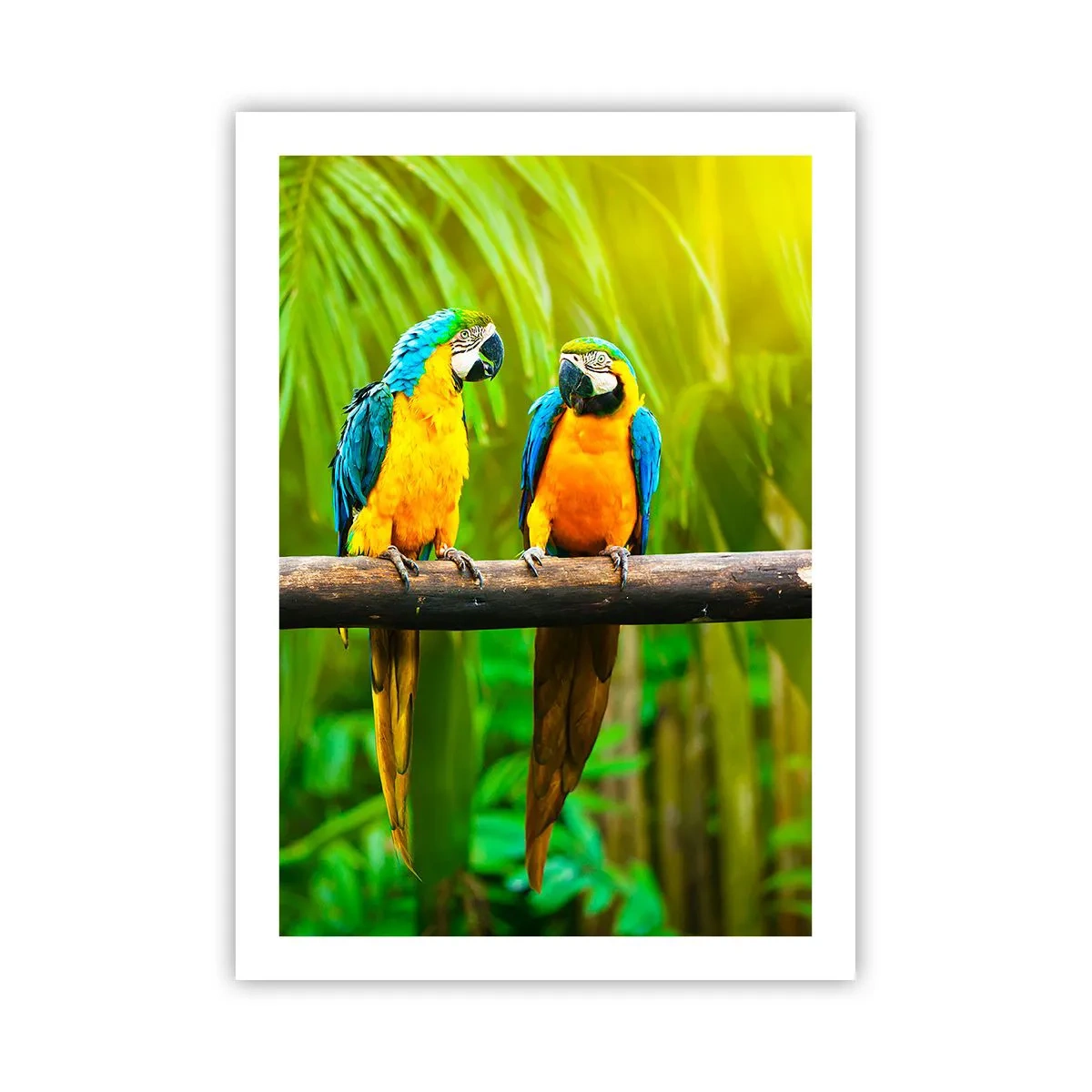 Poster - Leuchtend bunte Papageien in tropischer Umgebung - 50x70cm - Und hast du gehört, dass sie ...? - Moderne Wanddekoration für Wohnzimmer und Schlafzimmer ARTTOR