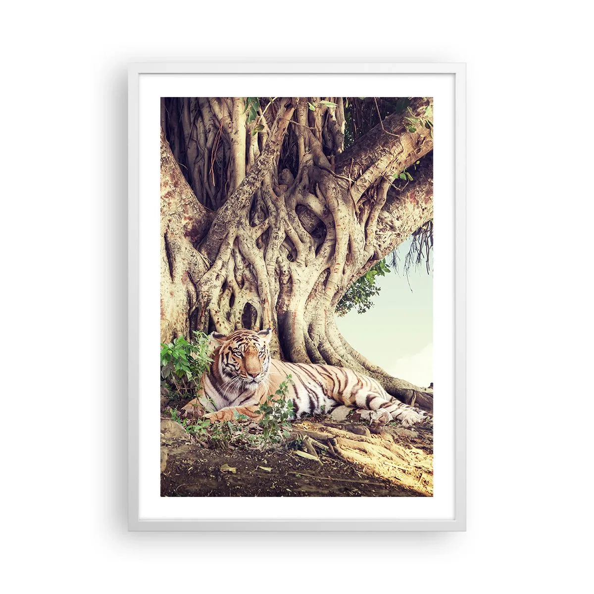 Poster in einem weißen Rahmen - Blick aus dem Buch Genesis - 50x70 cm