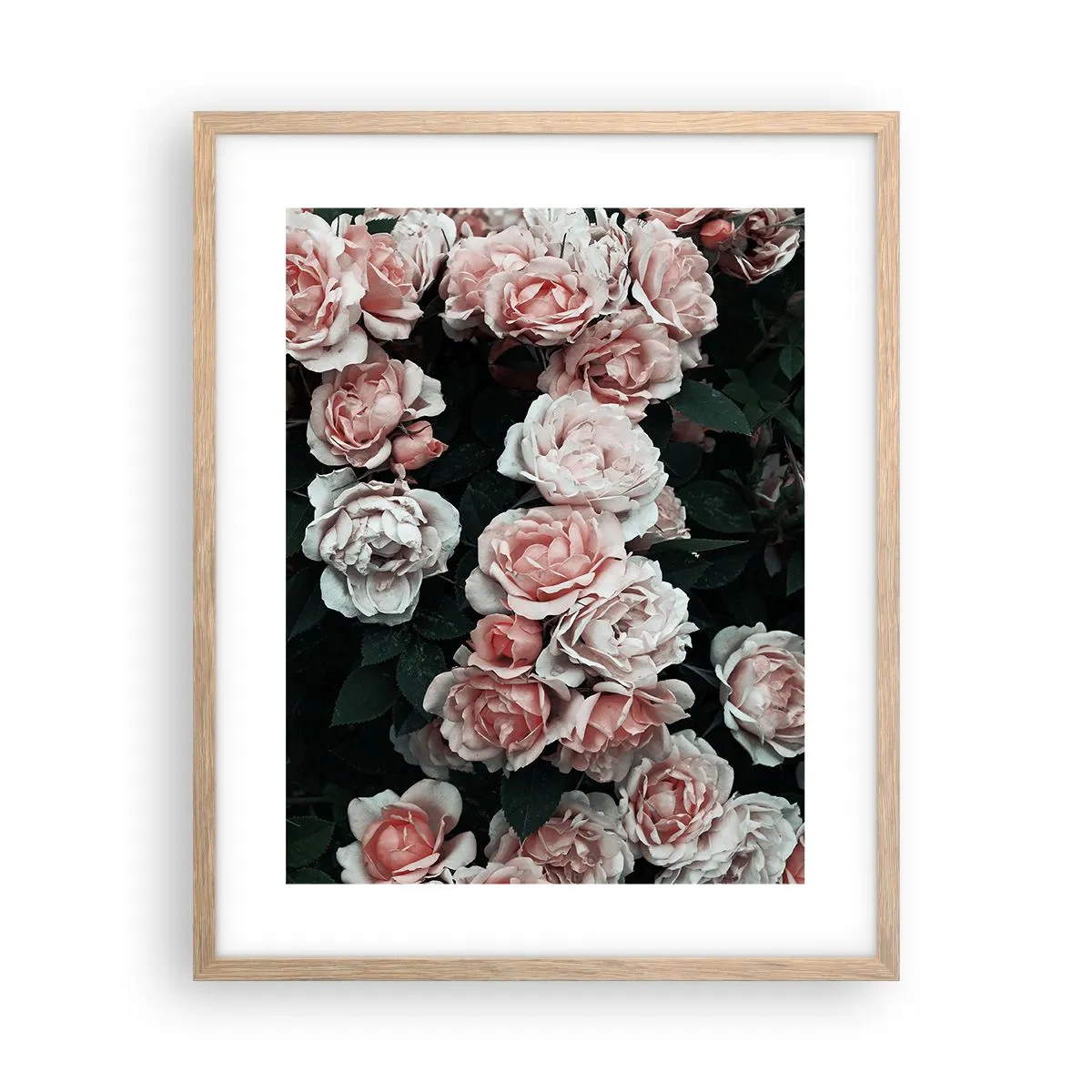 Poster in einem Rahmen aus heller Eiche - Rosen-Ensemble - 40x50 cm