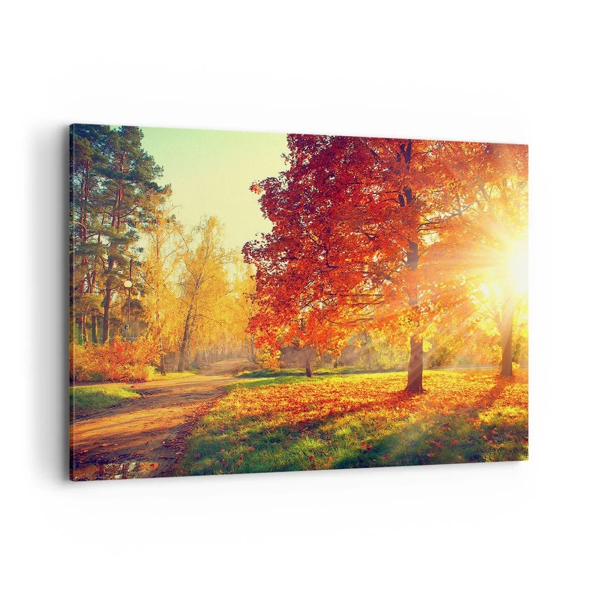 Bild auf Leinwand - Leinwandbild - Herbstpark im Sonnenlicht - 120x80cm - Unhöflich ist schön - Moderne Wanddekoration für Wohnzimmer und Schlafzimmer ARTTOR