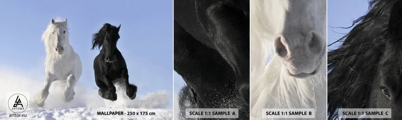 Fototapetenmuster Standard Eco - Schwarz-Weiß-Galopp - Tiere, Pferd, Winter - 100x30 cm