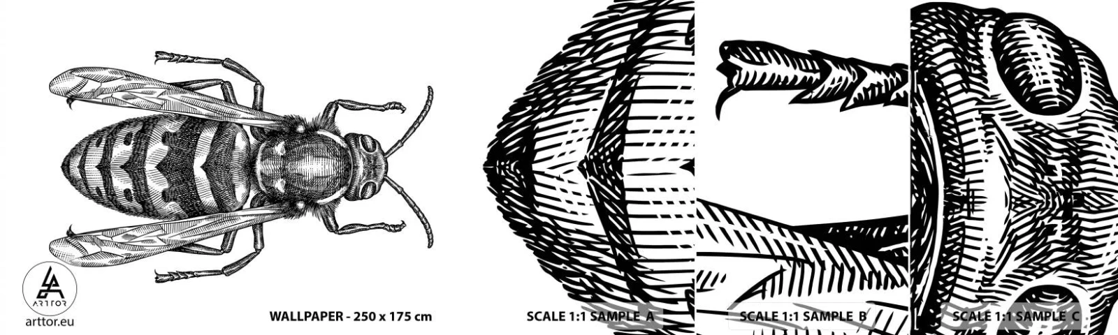 Fototapetenmuster Standard Eco - Von einem Insektenplaneten - Wespe, Insekt, Minimalistisch - 100x30 cm