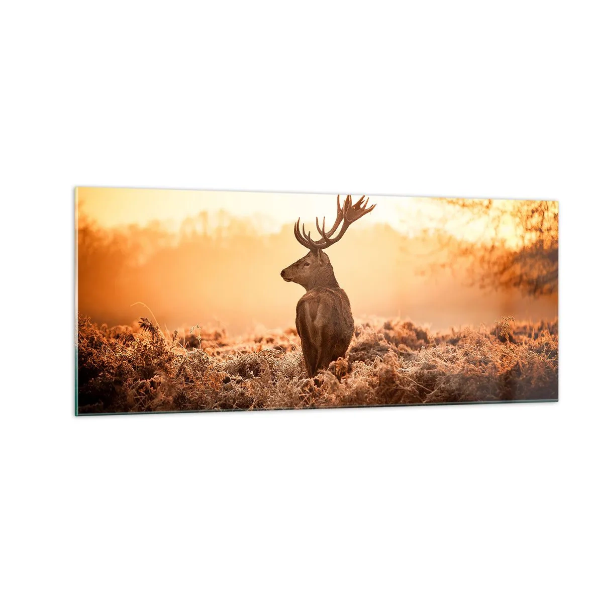 Glasbild - Bild auf glas - Herr im eigenen Land - 100x40 cm