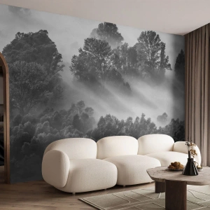 Fototapete Premium Sand - Ein schwarz-weißer Wald, eingehüllt in Nebel mit Lichtstrahlen - 100x70cm - Aufstehend aus dem Schlaf - Moderne Wanddekoration für Wohnzimmer und Schlafzimmer ARTTOR