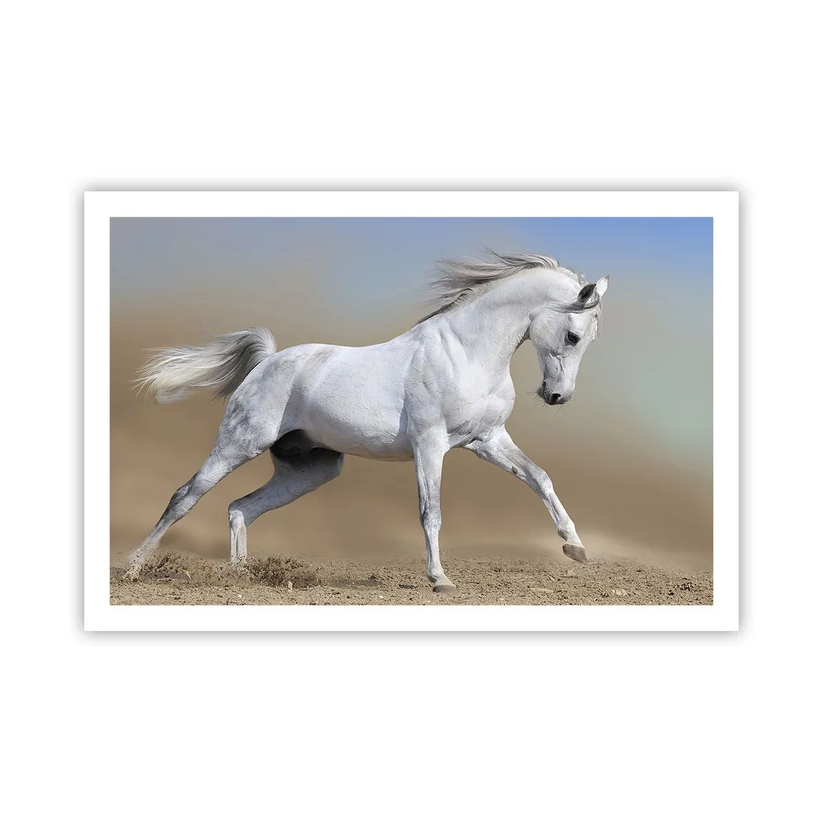 Poster - Die schönste arabische Sage - 91x61 cm