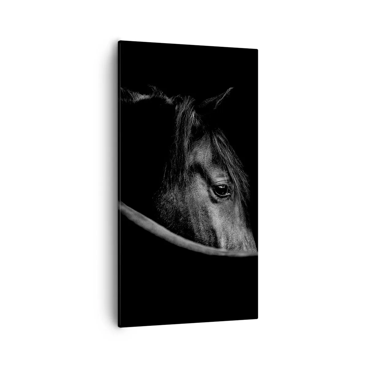 Bild auf Leinwand - Leinwandbild - Schwarzer Prinz - 55x100 cm