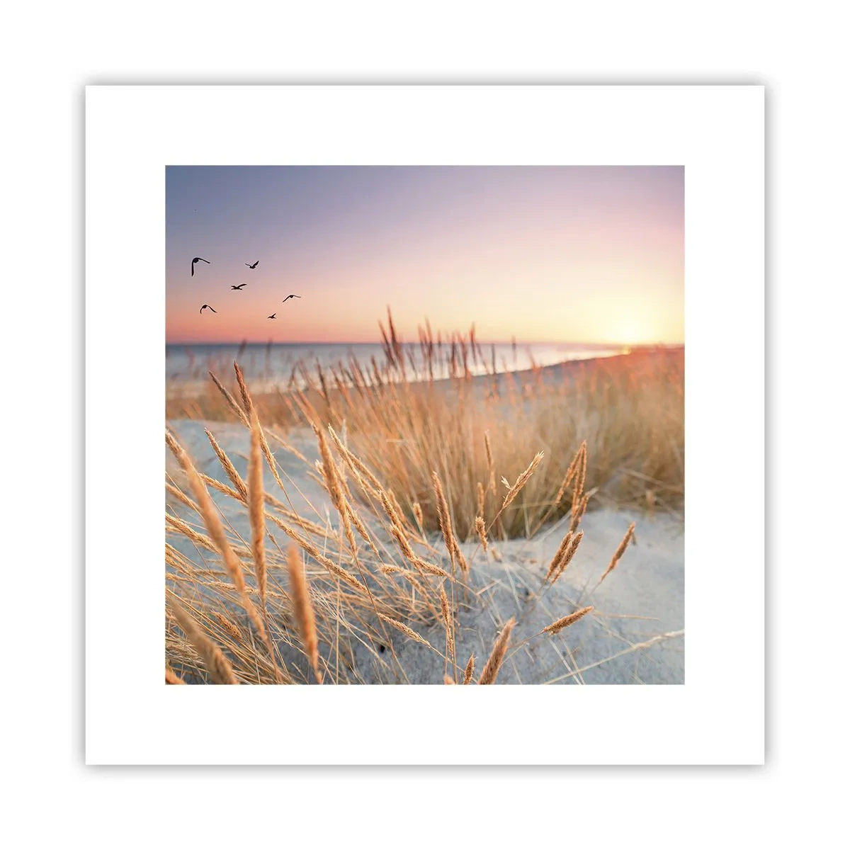 Poster - Das baltische Wiegenlied - 30x30 cm