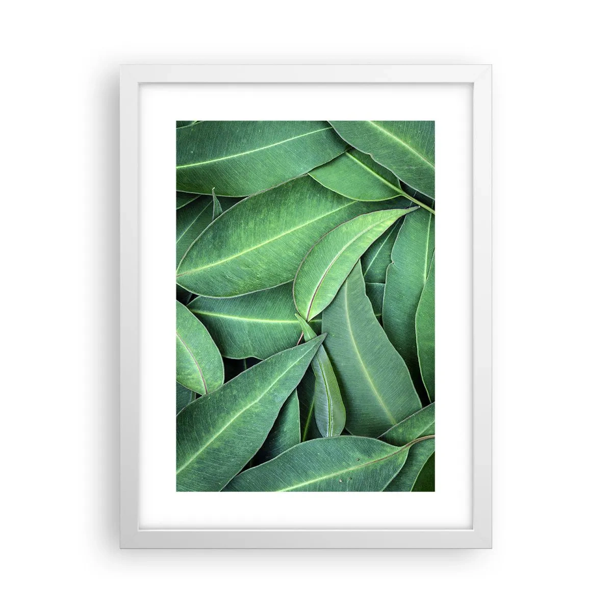 Poster in einem weißen Rahmen - Saftig und frisch - 30x40 cm