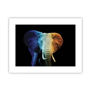 Poster - Exzentrisch, kein Verrückter - 40x30 cm