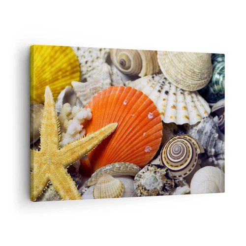 Bild auf Leinwand - Leinwandbild - Muscheln und Seesterne in einer Meereskomposition - 70x50cm - Schätze des Ozeans - Moderne Wanddekoration für Wohnzimmer und Schlafzimmer ARTTOR