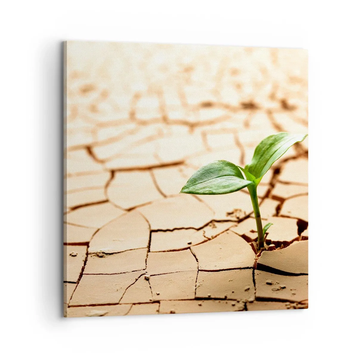 Bild auf Leinwand - Leinwandbild - Die unbezähmbare Kraft des Lebens - 60x60 cm