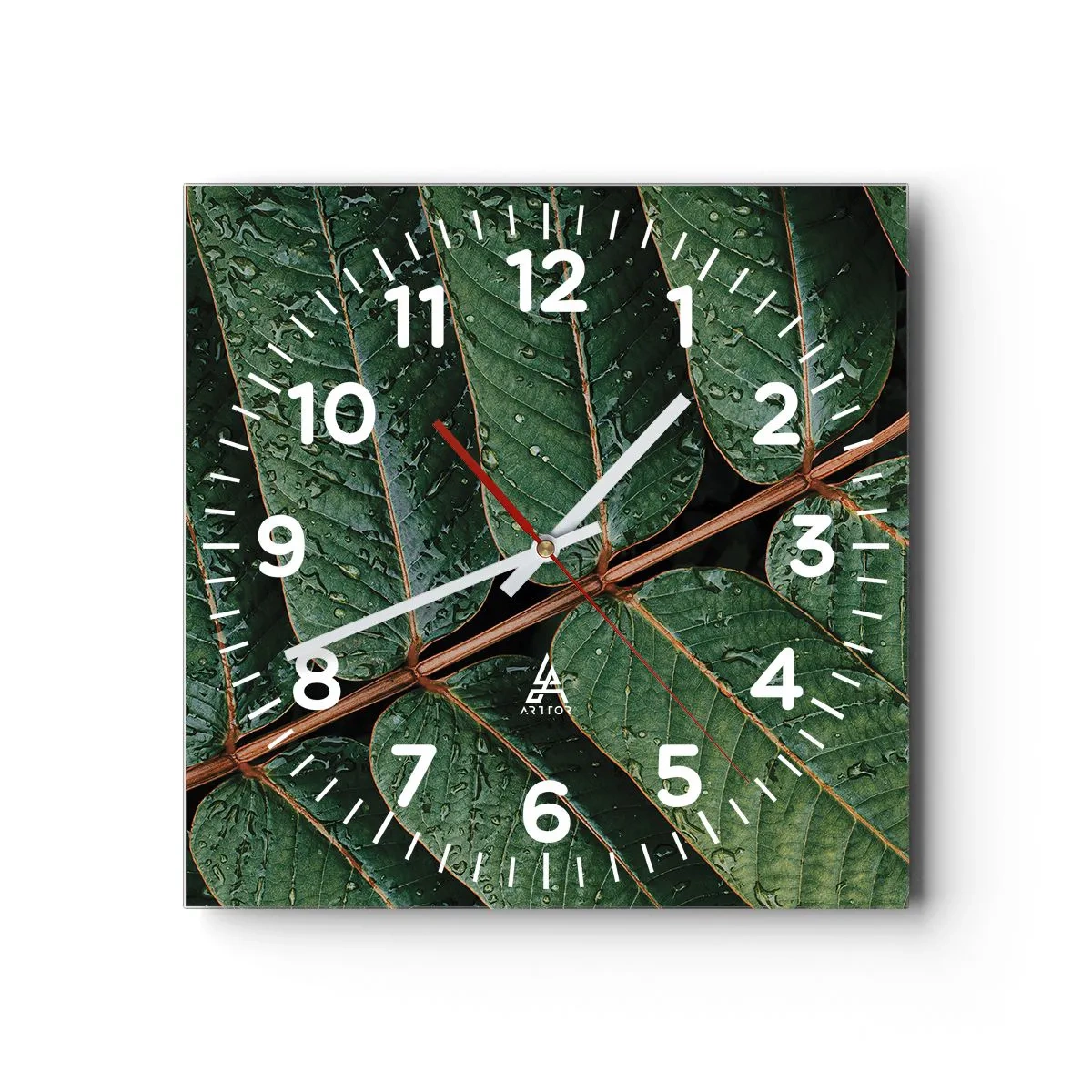 Wanduhr - Glasuhr - Im grünen Rhythmus - 30x30 cm