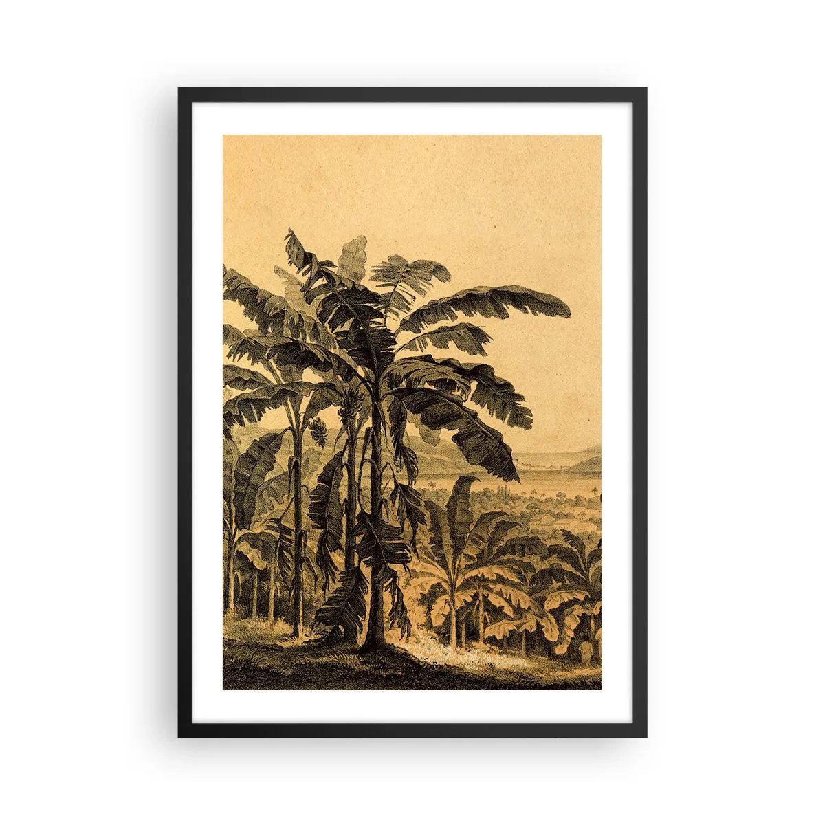 Poster in einem schwarzem Rahmen - Illustration von Palmen vor einem tropischen Landschaftshintergrund - 50x70cm - in einem kolonialen Klima - Moderne Wanddekoration für Wohnzimmer und Schlafzimmer ARTTOR
