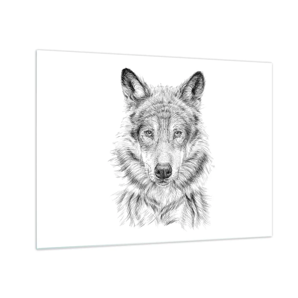 Glasbild - Bild auf glas - Schwarz-weiße Skizze eines Wolfskopfes auf weißem Hintergrund - 70x50cm - Ein geborener Anführer - Moderne Wanddekoration für Wohnzimmer und Schlafzimmer ARTTOR