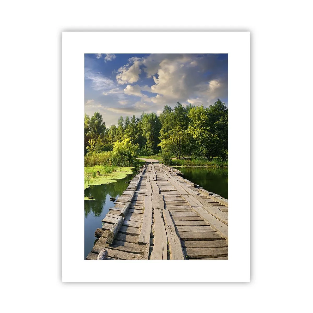 Poster - Sommer, Sommer überall - 30x40 cm