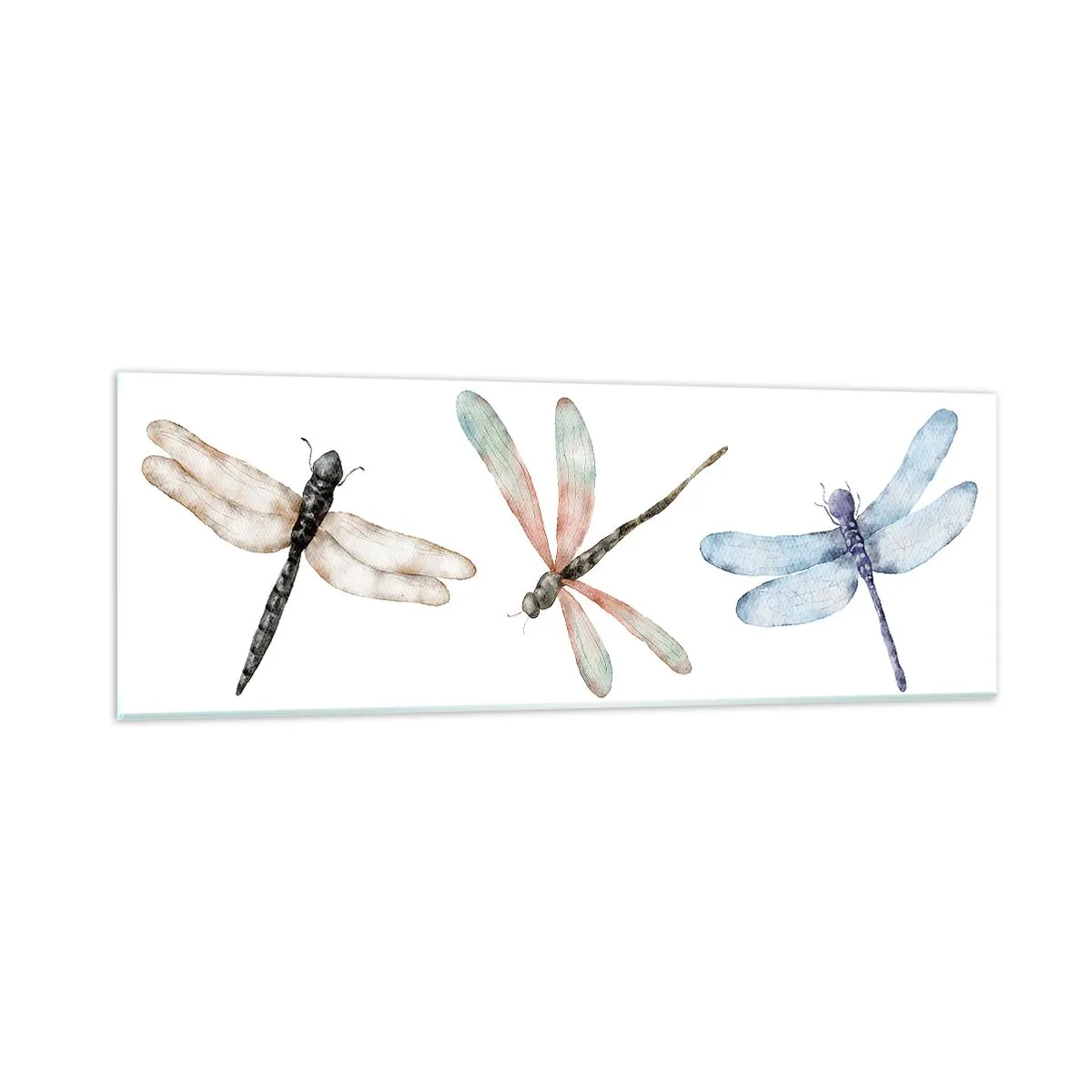 Glasbild - Bild auf glas - Schwerelose Libellen - 90x30 cm