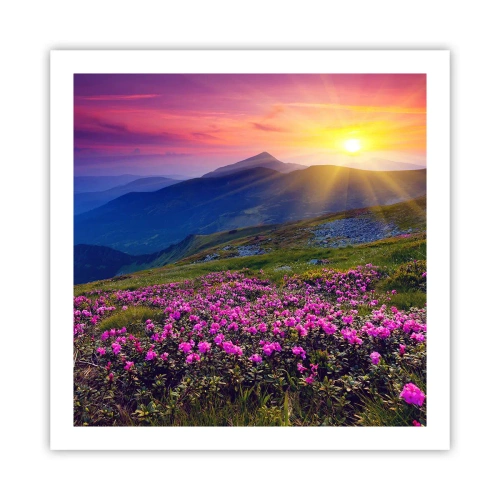Poster - … Und drumherum duftet es nach Latschenkiefer und dem Duft von Kräutern - 60x60 cm